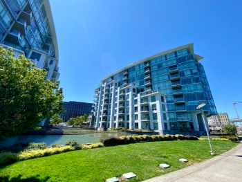 Waterfront Pearl